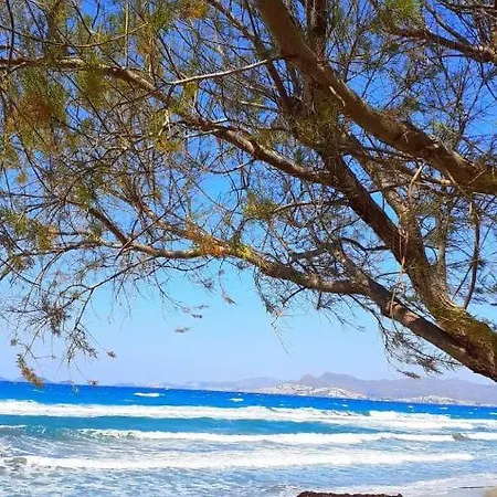 Country House Kos-stad